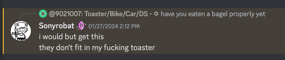 screenshot of discord message "i would but get this they don't fit in my fucking toaster"
