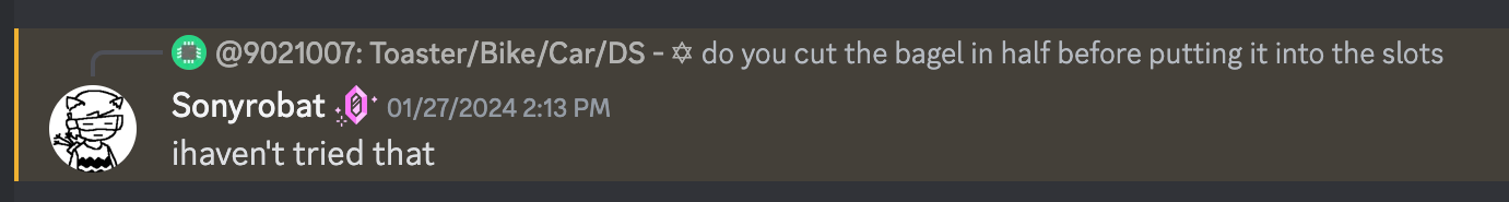 screenshot of discord message "i haven't tried that"