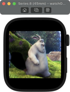 screenshot of WatchOS Simulator, showing a frame of Big Buck Bunny