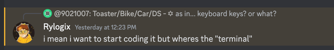 screenshot of discord message, "mean i want to start coding it but wheres the "terminal""