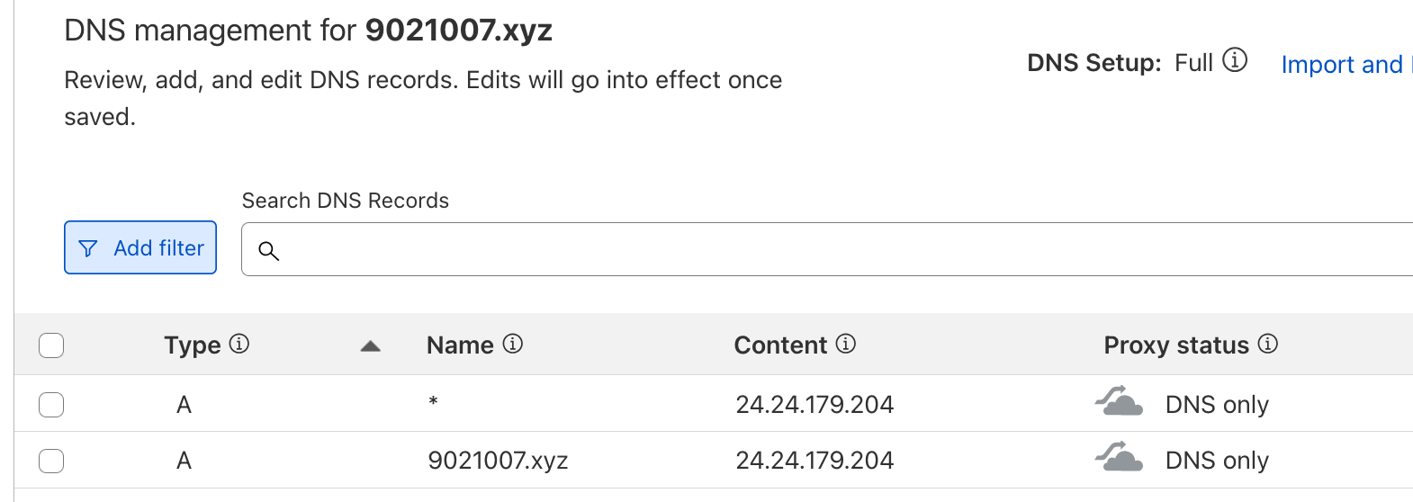 screenshot of DNS records page. 2 A records point to 24.24.179.204